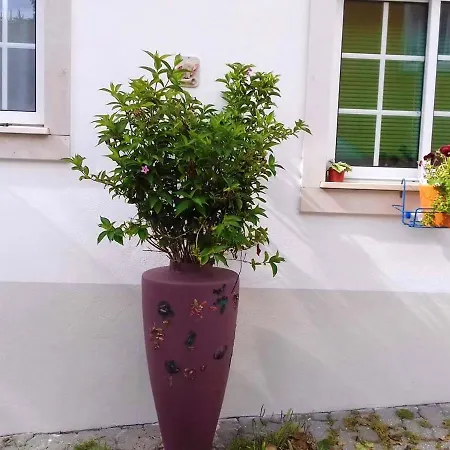 Διαμέρισμα Comfortable In With Shared Pool 30 M² *