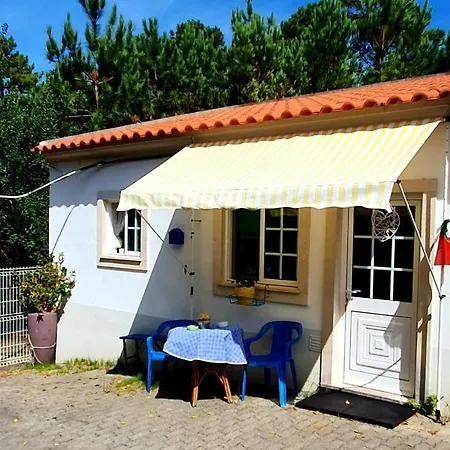 Apartament Comfortable In With Shared Pool 30 M² Nazaré