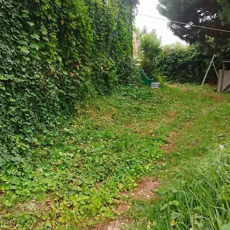 Διαμέρισμα Comfortable In With Shared Pool 30 M² Ναζαρέ