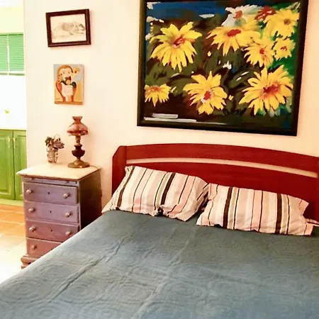Comfortable In With Shared Pool 30 M² * Ναζαρέ