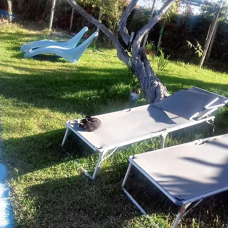 Comfortable In With Shared Pool 30 M² * Nazaré