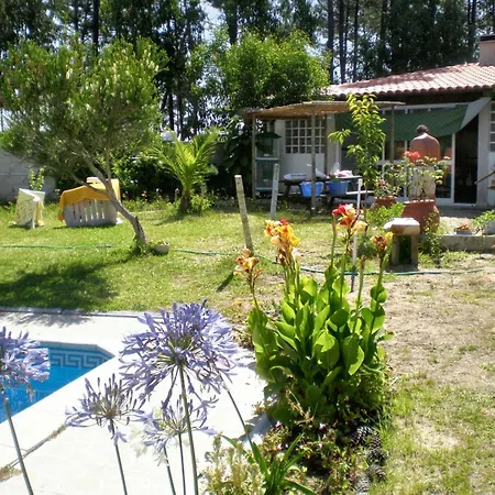 Comfortable In With Shared Pool 30 M² Apartament Nazaré