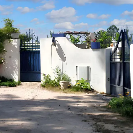 Comfortable In With Shared Pool 30 M² Nazaré
