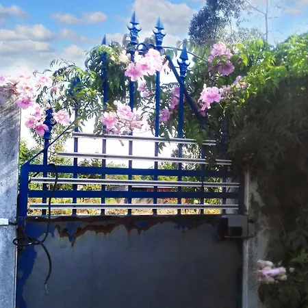 Comfortable In With Shared Pool 30 M²