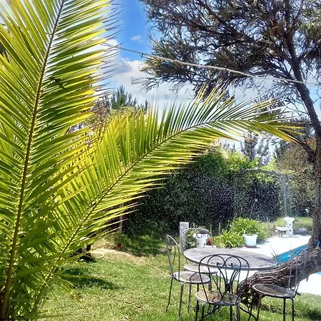 Comfortable In With Shared Pool 30 M² Apartament *