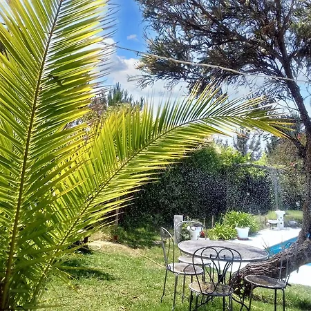 Comfortable In With Shared Pool 30 M² Apartmán *